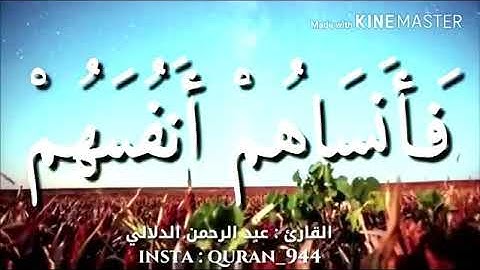 ما تيسر من القرآن الكريم بصوت عبد الرحمن الدلالي