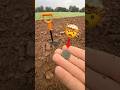 Старинная находка!  #золото #metaldetecting #shortvideo #коп #поиск #metaldetector #клад  #shorts