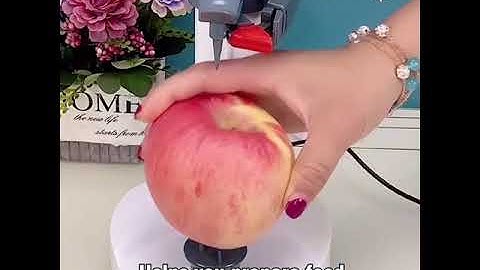 automatic fruit peeling machine