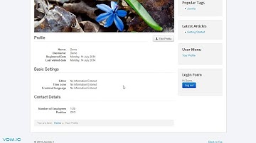 VDM Frontend RSForm Profile Plugins