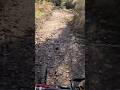 BIKE NEWS 11😳 #bike #crash #news #enduro #downhill #freeride #dirt