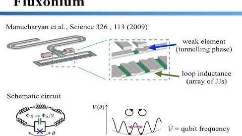 Coherent dynamics in long fluxonium qubits