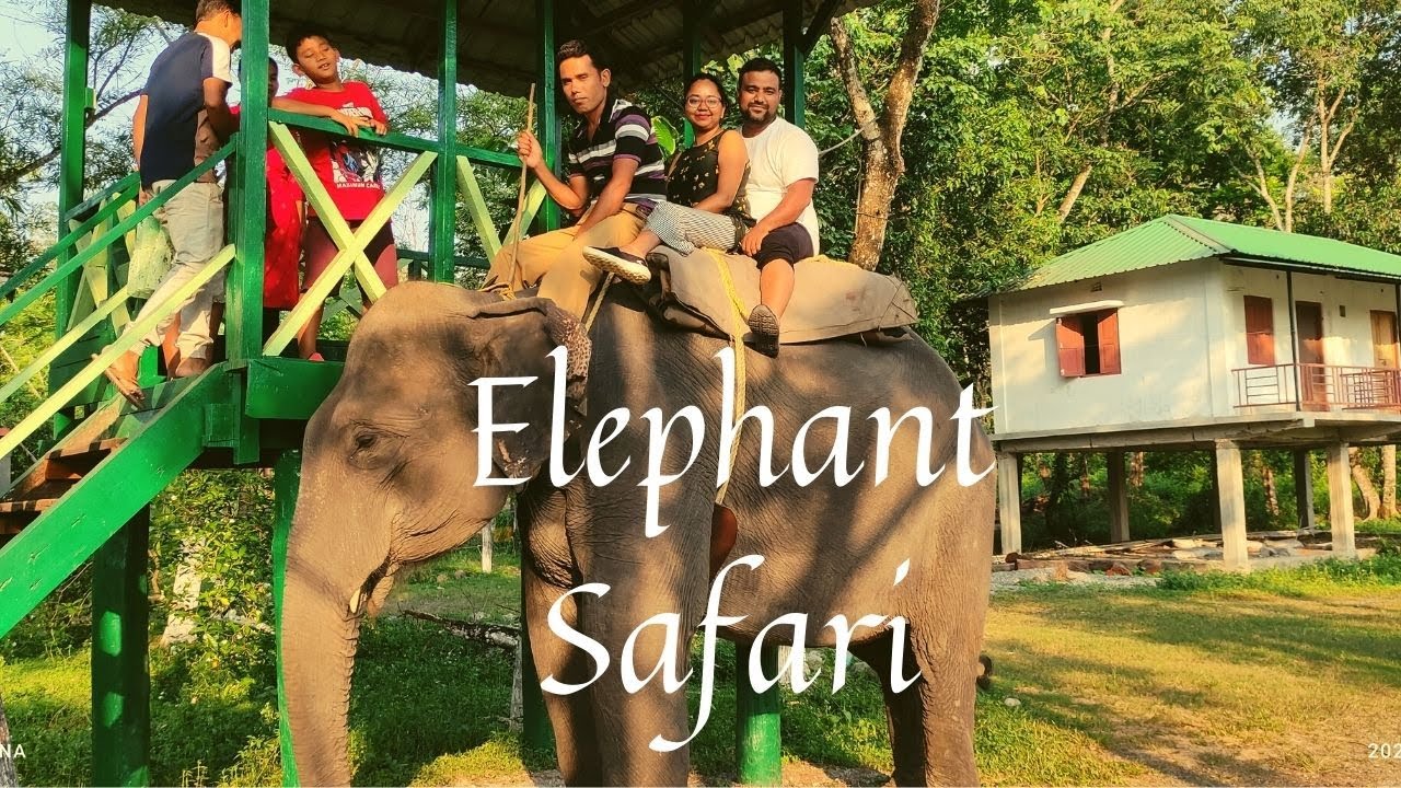 dhupjhora elephant safari booking