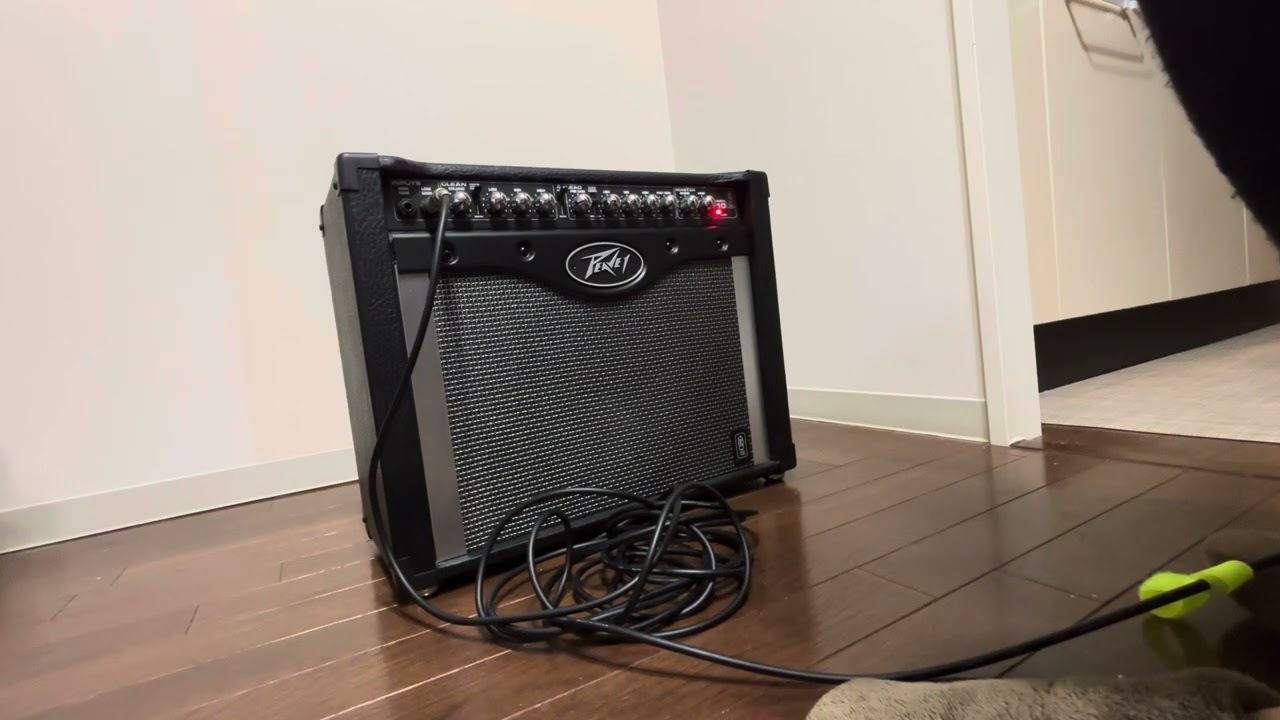 Peavey Envoy 110 音出し(フリマ出品用)