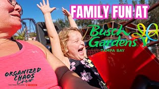 Surprised The Kids With Fun Cards To Busch Gardens, Tampa