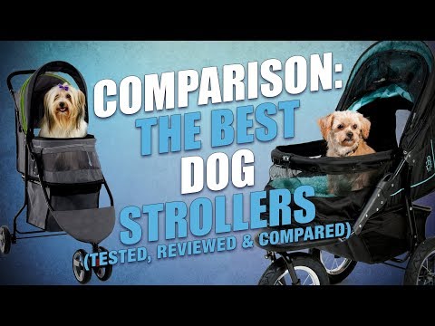 top-10-best-dog-strollers-of-2018-(my-test-and-review)