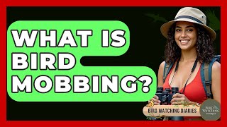 What Is Bird Mobbing? - Bird Watching Diaries