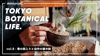 TOKYO BOTANICAL LIFE - vol.8 春の新入り植物5種類と自作の植木鉢