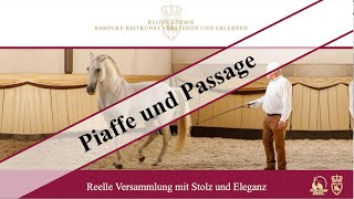 Trailer Zu Unserem Onlinekurs Piaffe Und Passage - Fürstliche Hofreitschule Bückeburg