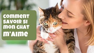 Comment savoir si mon chat m'aime?10 signes que le prouvent