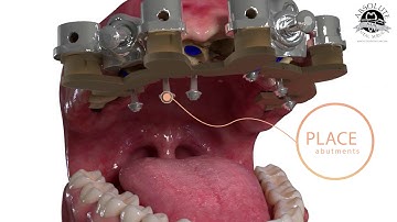 Synergy Zero Workflow Animation