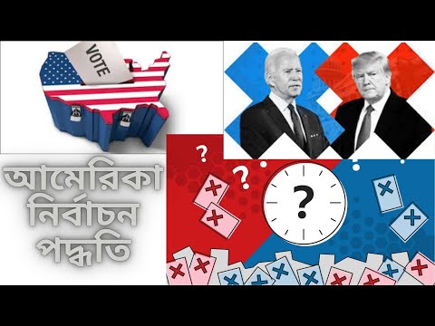 ভিডিও: কিভাবে একটি ইয়র্কিকে নির্বাচন করবেন