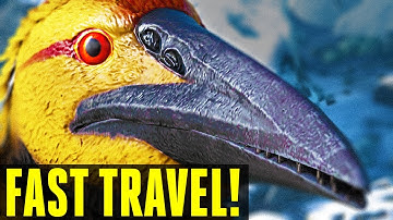 🙉💯ONE WEIRD TRICK TO INSTANTLY TRAVEL AROUND THE MAP! ICHTHYORNIS -  EYNTK (Ark: Survival Evolved)