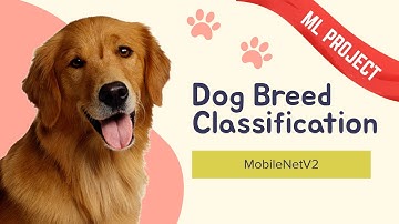 Step-by-Step Guide: Build Your ML Dog Breed Classification Model using MobileNetV2 | CNN & DL.