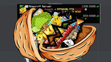 Pika Network Server In A Nutshell