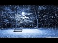 Mistletoe And Holly - Let It Snow, Let It Snow, Let It Snow - The Gunter Kallman Choir