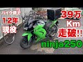 【ニンジャ250バイク便で使用】12年間現役で39万キロ走破したカワサキニンジャ250紹介動画‼︎ バイク便ライダーの日常‼︎