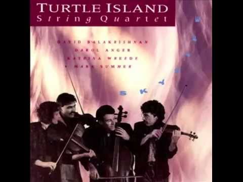 Turtle IslandString Quartet - Skylife