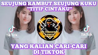 DJ SEUJUNG RAMBUT SEUJUNG KUKU REMIX TIKTOK VIRAL FULL BASS TERBARU 2022