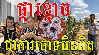 ហេតុអ្វីបោះបង់ផ្កាដ៏ស្រស់ស្អាតបែបនេះ ផ្កាស្នេហ៍ ឬ ផ្ការាក់ គឺជាផ្កាដែលចាស់ជំនាន់ដើមនិយមណាស់