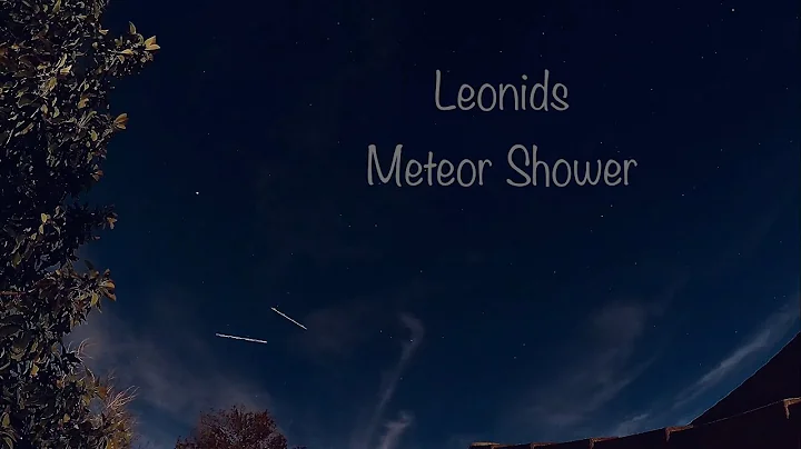 Leonids Meteor Shower GoPro 10 Nightlapse