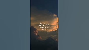 {وَاتَّقُواْ يَوْماً تُرْجَعُونَ فِيهِ إِلَى اللّهِ ..}[سورة البقرة: آية 281].