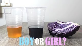 RED CABBAGE GENDER TEST | BOY OR GIRL??? screenshot 5