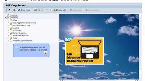 SAP Project System Controlling   Materials part №1