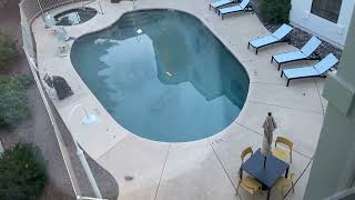 Retake of My iPhone 11 of Full Hotel Tour: Embassy Suites By Hilton Flagstaff, AZ