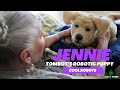 Cool Robots- Jennie Tombot&#39;s Robotic Puppy