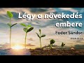 Lgy a nvekeds embere  fodor sndor  20240323