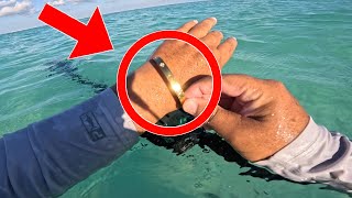 Download Lagu 4 DÍAS DE BÚSQUEDA ( oro,Plata,dinero,etc ) MP3