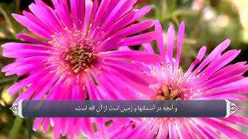 یگانگی الله در صدور حکم و قانون گذاری_سوره آل عمران آیه 109