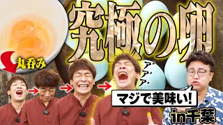 (卵)卵好きの銀シャリ鰻が絶賛！美味すぎる卵に遭遇!!【千葉編】