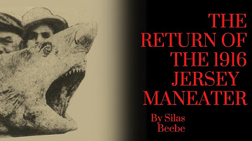 The Untold Chapter of the New Jersey Shark Attacks