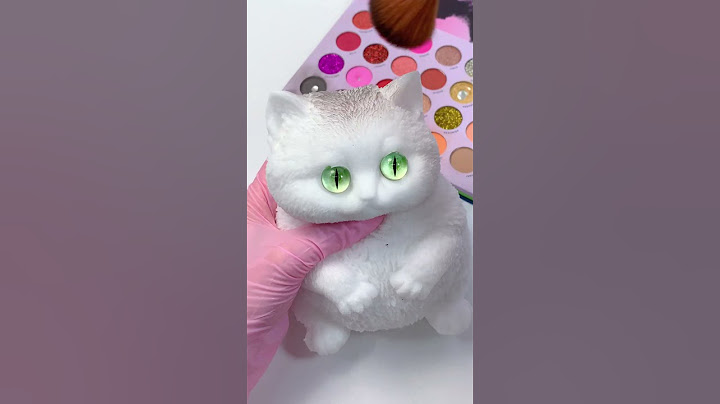 FUFUSQUISHY ASMR 🐱 🐱Giant Tiger Cat