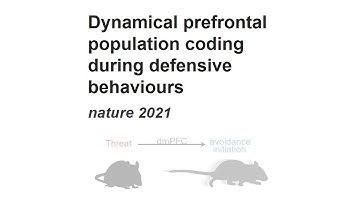 Dynamical prefrontal population coding during defensive behaviours