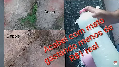 Como limpar o quintal rápido?