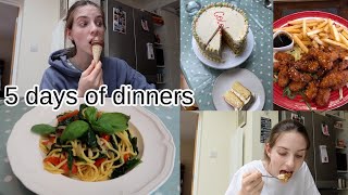 5 days of dinners (&desserts!)