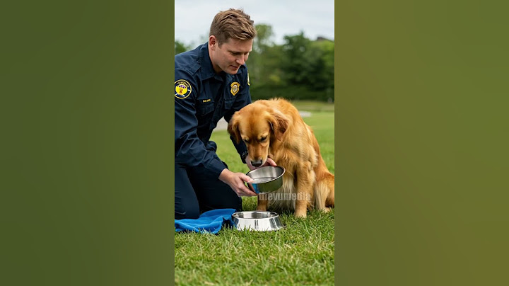 First Responders Rescue Dog In Dangerous Car Crash! #Wildlife #Rescue #Animals