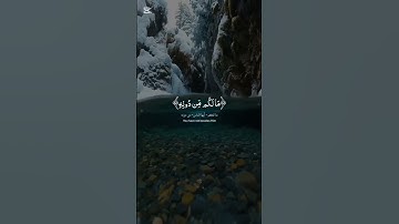 #القرآن_الكريم #اكسبلور #المصحف #القرآن #الرحمن #تلاوة_خاشعة #دويتو #لايك