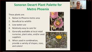 Phoenix Native Landscaping Plants Where to Find Them