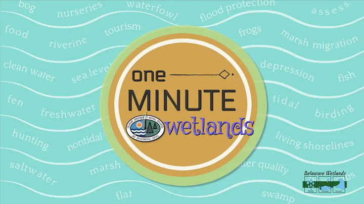 One Minute Wetlands -  Free Ranging Marshes
