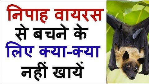 Nipah virus क्या है? क्यों मर रहे हैं इतने लोग? क्या आप भी खतरे में हैं? कैसे बचें निपाह वायरस से?