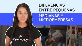 Diferencias entre micro, pequeñas y medianas empresas  | Shopeando Imports