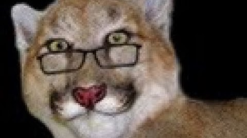 Funnel Intro 0 Portals : OOB Route Tutorial