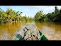 Sumatra indonesia 4k  rainforest relaxation film  nature