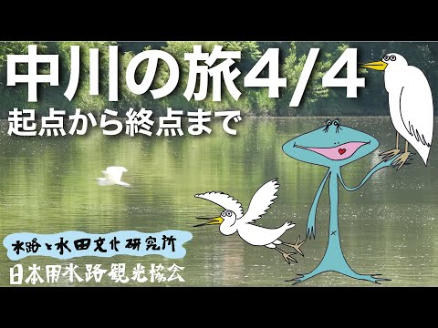 中川の旅4/4　起点から終点まで4　#サギコロニー　#中川七曲がり　#中川