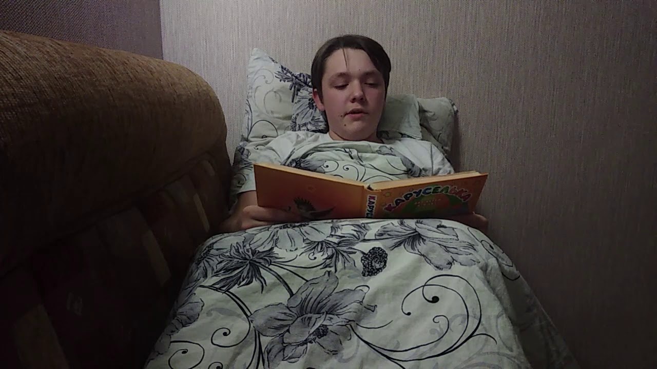 #СказкаНаНочьсМТС «Приключения Нильса с дикими гусями» (ч. 3) – читает Вадим Ольшанский