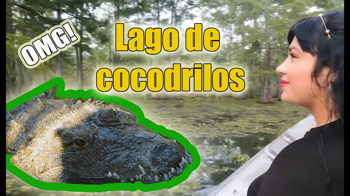 Zona de cocodrilos 🐊🚷🤯